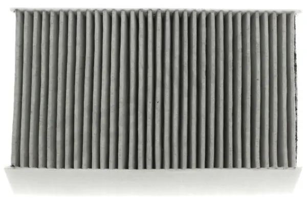 SFKF9571C Starline Filtro antipolen