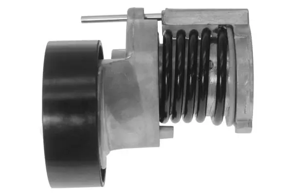 Tensor de correa, correa poli V Volkswagen Tiguan 1 5N1, 5N2