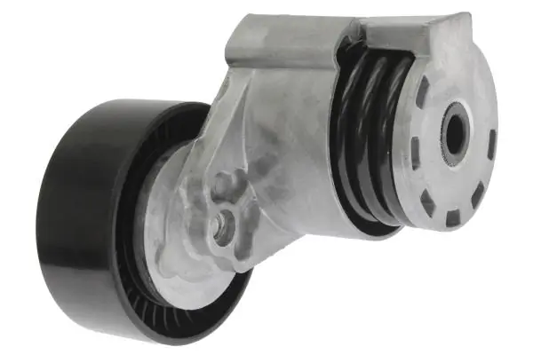 Rodillo, correa trapecial poli V Renault Kangoo 2 FW0