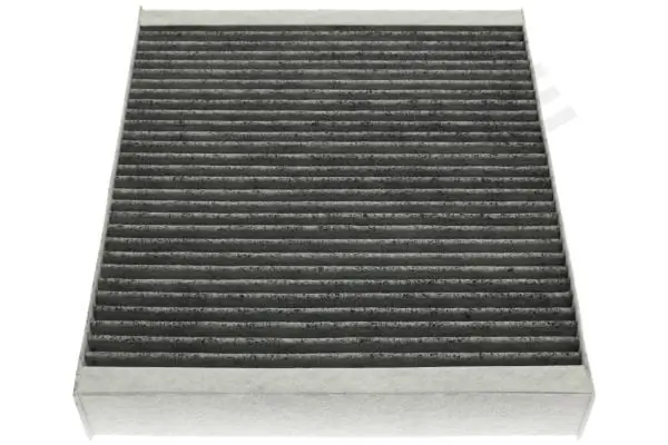 SFKF9496C Starline Filtro antipolen