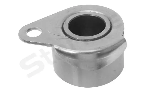 Tensor de la correa de distribución Starline RSA06110 precio, desde 30,90 EUR