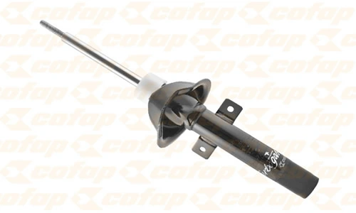 GP30074 Cofap