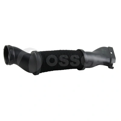 51855 Ossca