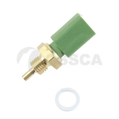 24564 Ossca