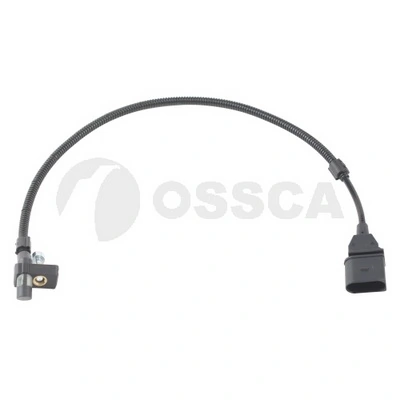 20729 Ossca