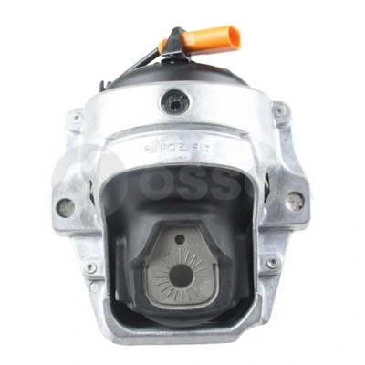 53628 Ossca