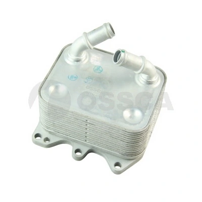 30204 Ossca
