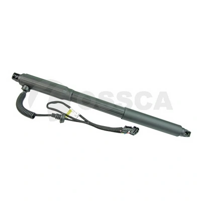 33915 Ossca