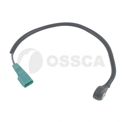 20410 Ossca