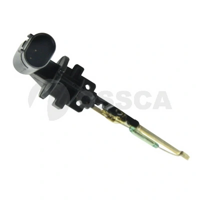 11427 Ossca