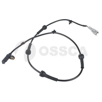25229 Ossca