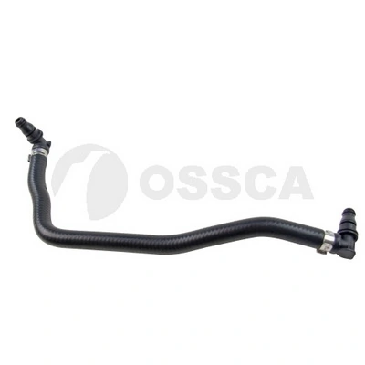 33298 Ossca