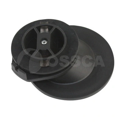 22491 Ossca