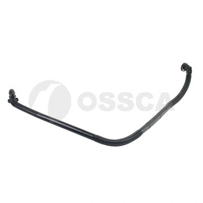 08024 Ossca