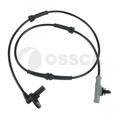 13170 Ossca