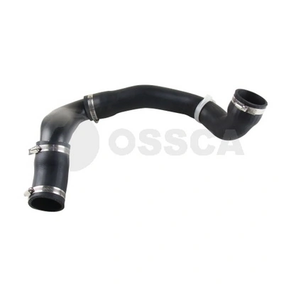 59553 Ossca