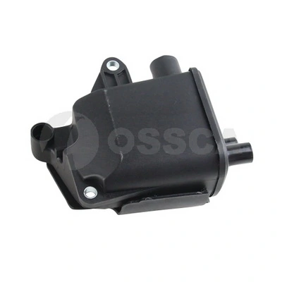 43343 Ossca