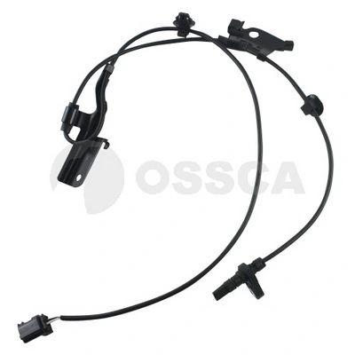 21718 Ossca