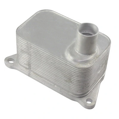 05962 Ossca