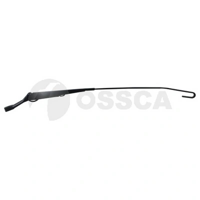 12516 Ossca