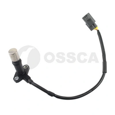 19919 Ossca