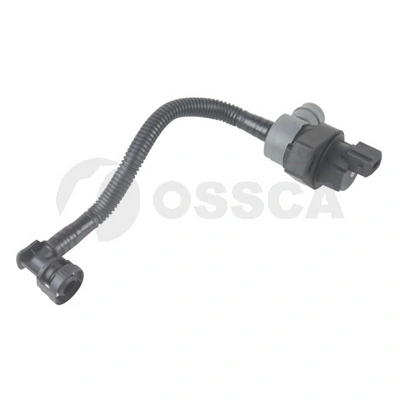 27198 Ossca