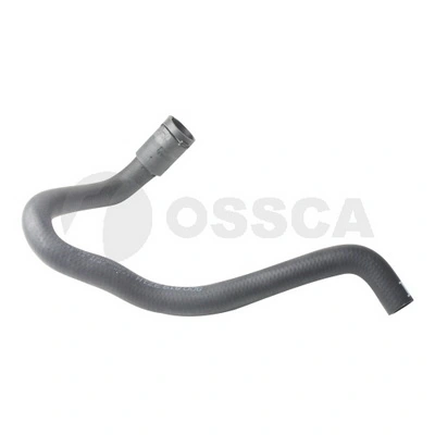 17900 Ossca