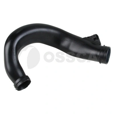 56381 Ossca