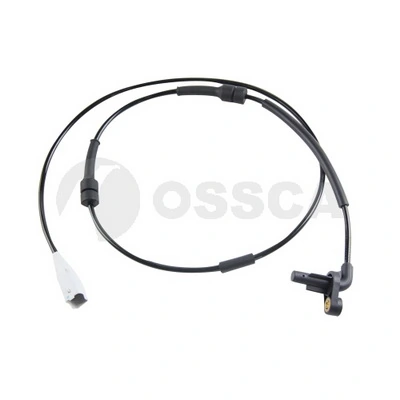 20353 Ossca