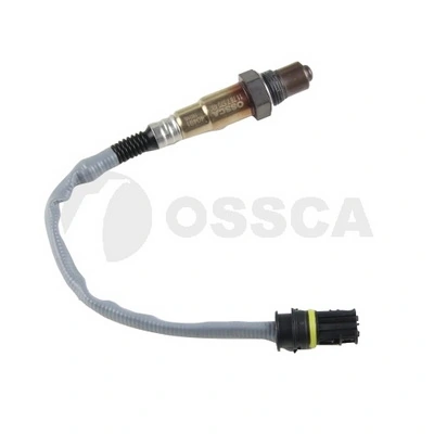 40491 Ossca
