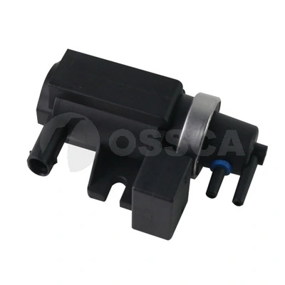58955 Ossca