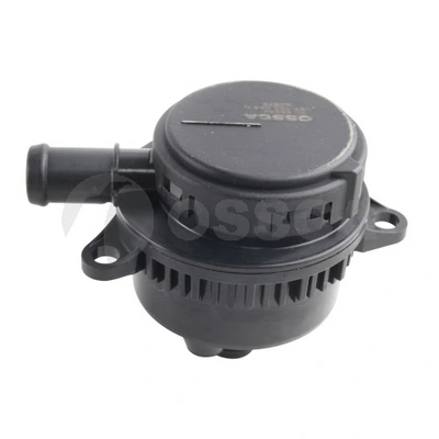 66254 Ossca