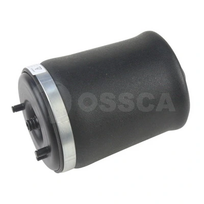 17045 Ossca