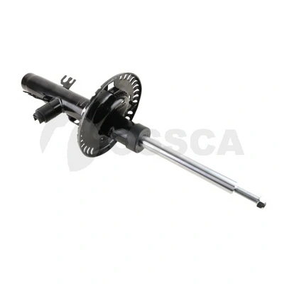 82441 Ossca