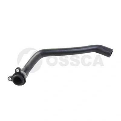 29428 Ossca