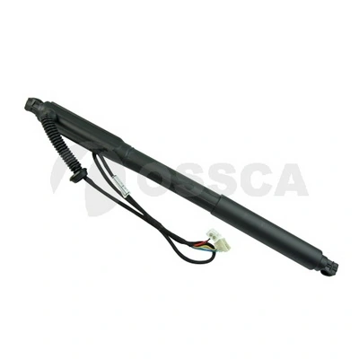33916 Ossca