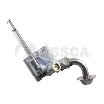 01948 Ossca