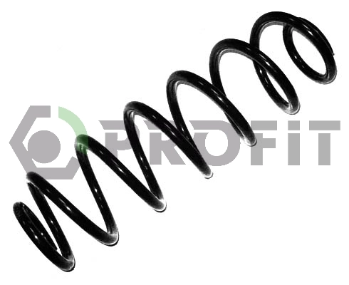20101062 Profit