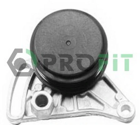  Tensor de correa poli V Volkswagen Passat 