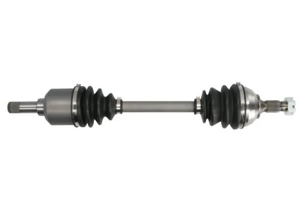 G2P024PC Pascal