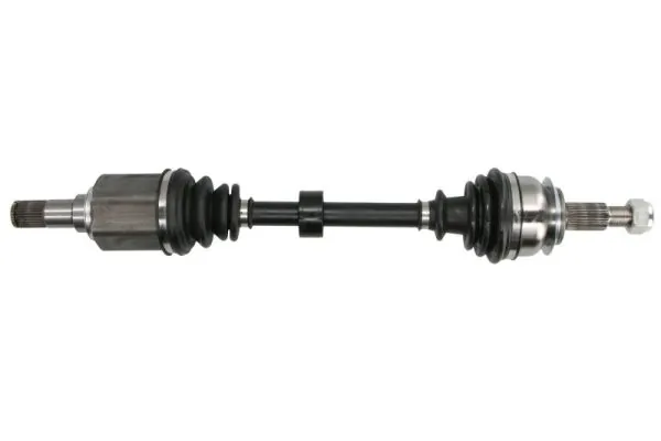 G23005PC Pascal