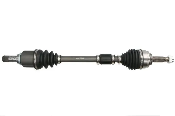 G2R124PC Pascal