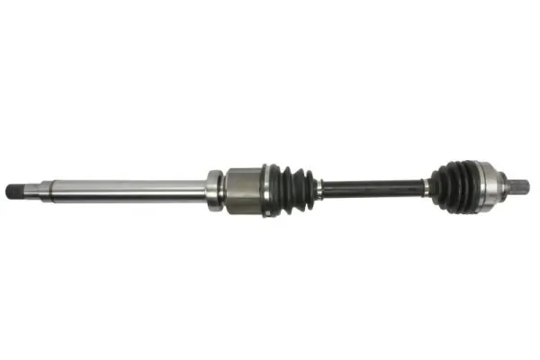 G2V006PC Pascal