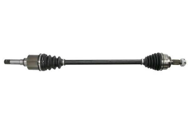 G2P049PC Pascal