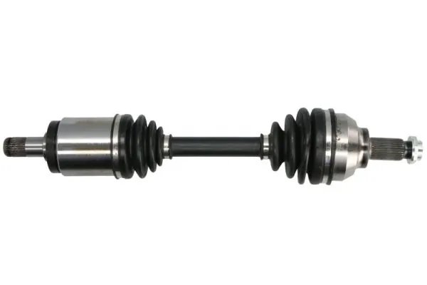 G2B046PC Pascal