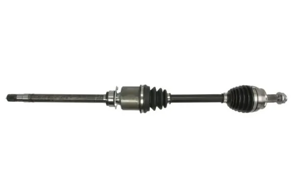 G2F031PC Pascal