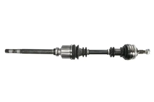 G2P039PC Pascal
