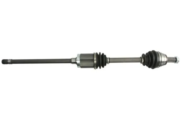 G2B011PC Pascal