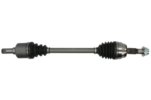 G2F011PC Pascal