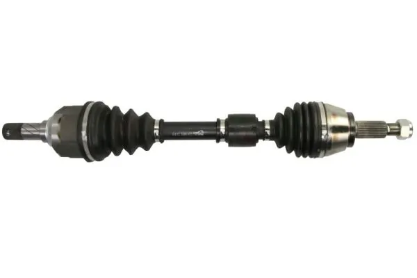G2R166PC Pascal